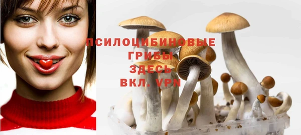 дурь Алексеевка
