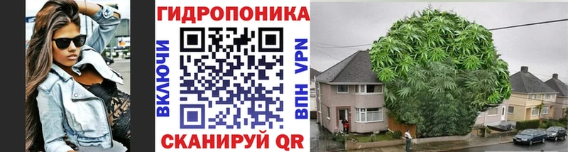 Бошки Шишки индика  где купить   Тара 